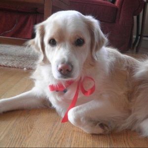 Meet your Posher, Carolyn